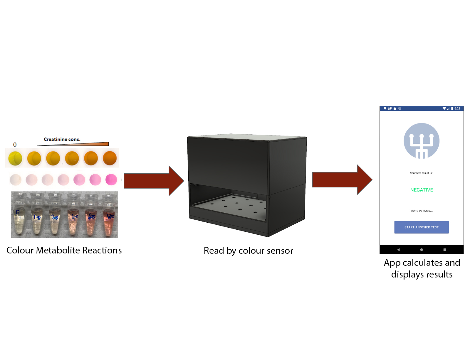 Hippuric Acid Sensor Calibration